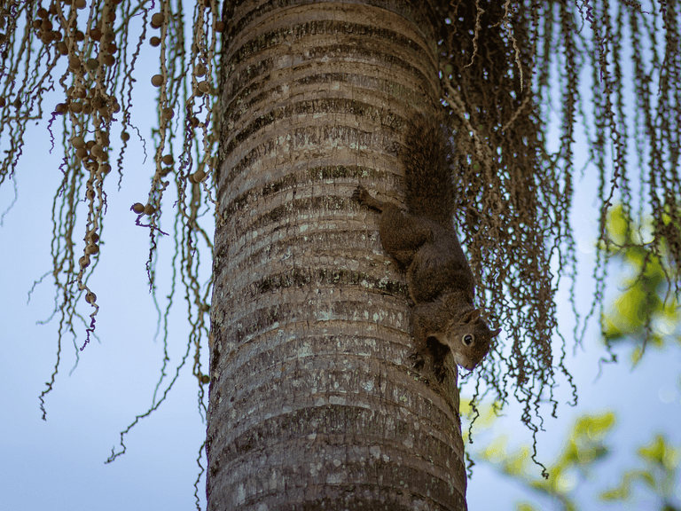 Bangalô Ilhabela